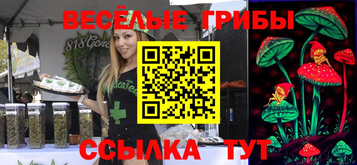 Псилоцибиновые грибы MAGIC MUSHROOMS Новоуральск